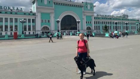 В Новосибирске в смерти собаки-поводыря из-за троллейбуса не нашли виновных