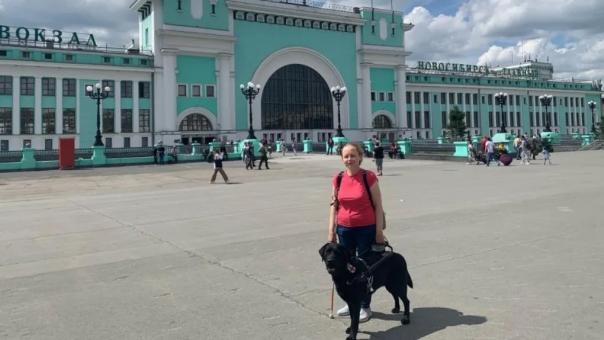 В Новосибирске в смерти собаки-поводыря из-за троллейбуса не нашли виновных