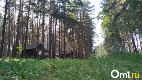Шашлык без мангала: топ-10 блюд омичам для пикника