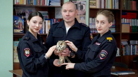 Курсанты Омской академии МВД помогли напуганной сове