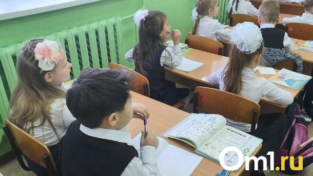 Омские школьники в начальных классах будут учить китайский язык