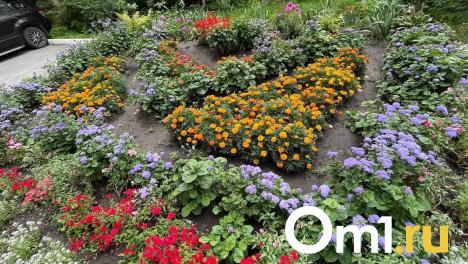 «Никто не помогает»: пенсионерка превращает двор Новосибирска в цветущий оазис