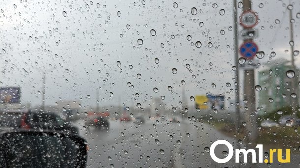 Перед Днём города Омск накроет мощный циклон с дождями и грозами