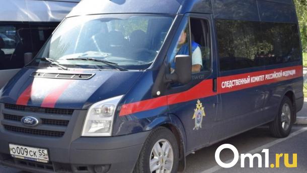 Бастрыкин поручил ускорить разбирательство в деле о смерти годовалой омички