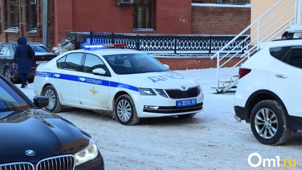 Сбил и бросил на дороге: в Омской области разыскивают водителя, из-за которого пострадал 10-летний школьник