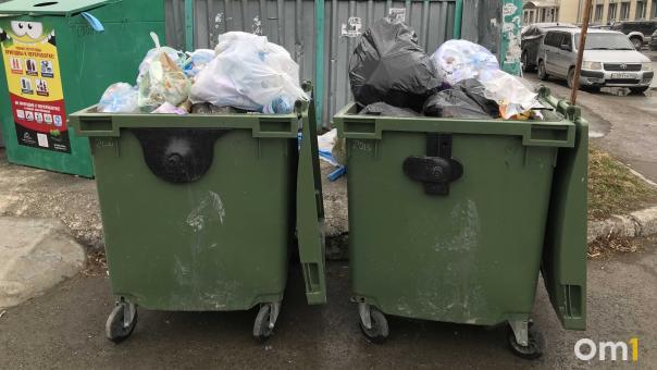 Власти Новосибирска заявили о стабилизации ситуации с вывозом мусора