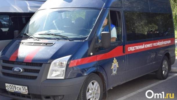 Стрельбой в омичку с ребёнком заинтересовался федеральный Следком