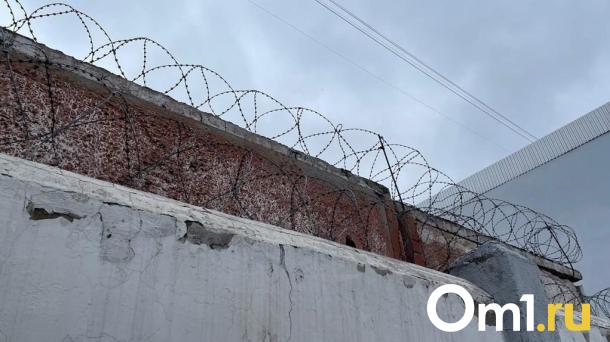Собирал деньги и изучал взрывное дело: осуждён пособник террористов из Омска