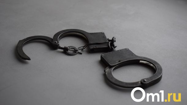 В Новосибирске спасатели освободили от наручников молодую девушку