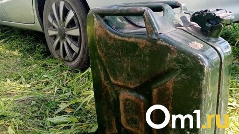 В Омской области сельчанин попытался сжечь собственную жену