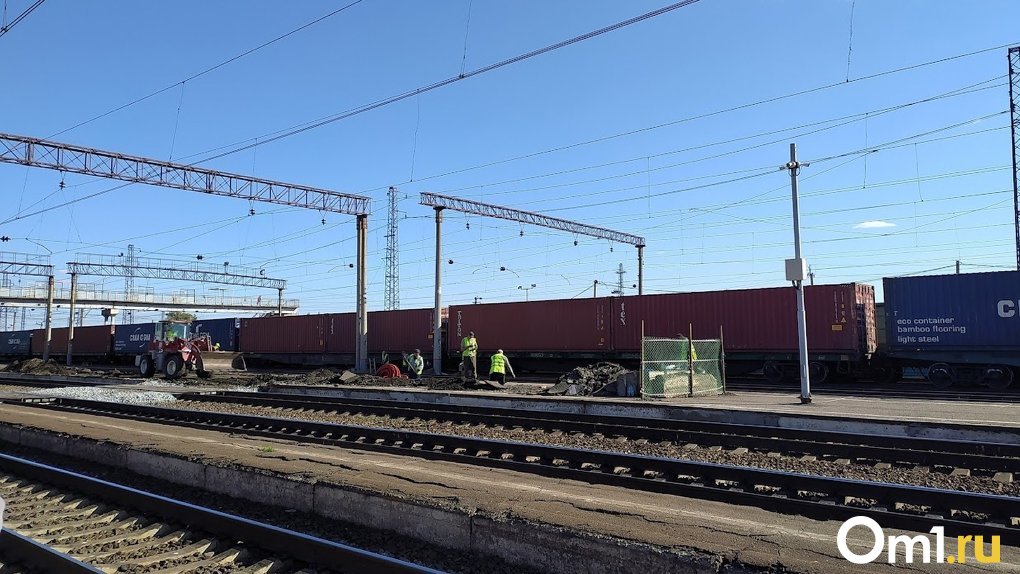 В сходе вагонов под Омском обвинили сотрудников Называевского участка РЖД