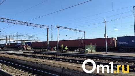 В сходе вагонов под Омском обвинили сотрудников Называевского участка РЖД