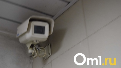 Под зорким «оком» камеры: почти половина омских работодателей следит за сотрудниками