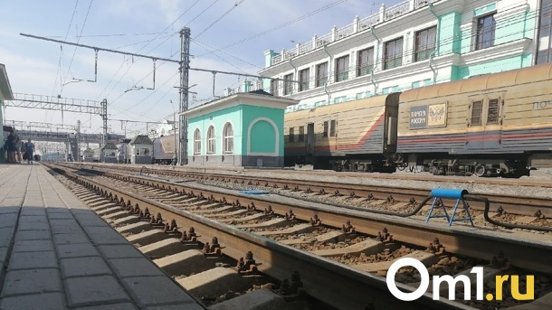 Омич в поезде «Владивосток – Москва» чуть не задушил полицейского