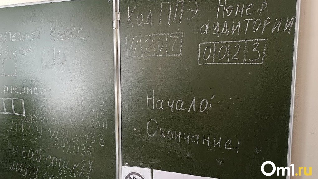 Где готовят 100-балльников к ЕГЭ: топ-10 школ Новосибирска