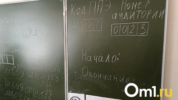 Где готовят 100-балльников к ЕГЭ: топ-10 школ Новосибирска
