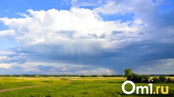 Смертельно опасная инфекция: в Омской области вновь ввели карантин