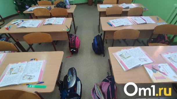 В омском Минобре сделали заявление из-за вспышки метапневмовируса