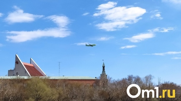 Пассажирский самолёт совершил экстренную посадку в Омске
