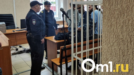 «Хочу домой к родителям! Больше так не буду»: в Омске студенту-индийцу дали 7 лет за наркотики