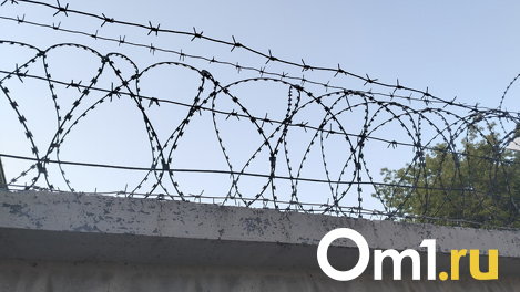В квартиру привели дети: в Омске нашли живодёра, который убил маленькую собаку