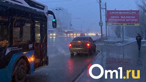 Дожди и сильный ветер: омичей призывают соблюдать меры предосторожности из-за непогоды
