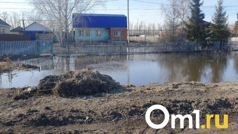 Из-за ливня в омском селе оказались затопленными 10 домов