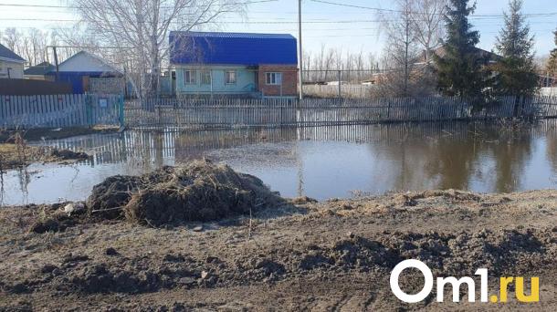 Из-за ливня в омском селе оказались затопленными 10 домов