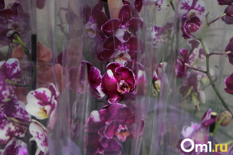 Изображение фоторепортажа