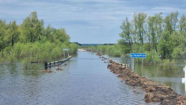 Стало известно, сколько домов остаются затопленными в Омской области