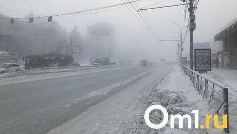 Лютые морозы до -39 накроют Новосибирск в первую неделю после новогодних каникул