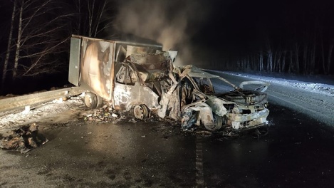 Автомобиль загорелся: два человека погибли в ДТП на трассе в Новосибирской области. ВИДЕО