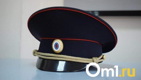 На Крещение омич застрелил своего односельчанина из ружья