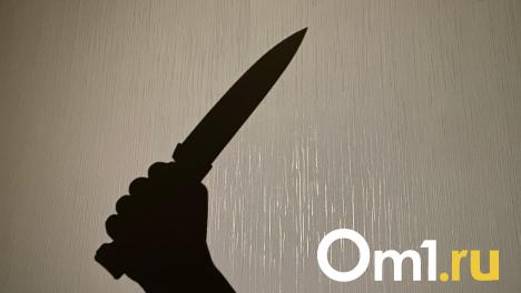 Двух омичей признали виновными в жестоком убийстве с использованием колодца