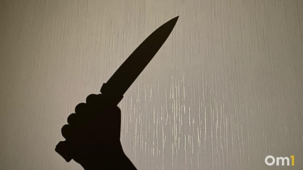Двух омичей признали виновными в жестоком убийстве с использованием колодца