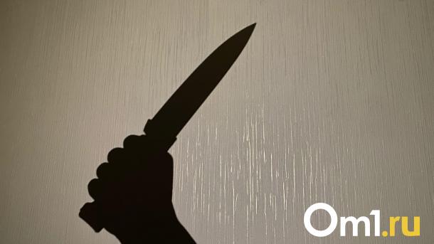 Двух омичей признали виновными в жестоком убийстве с использованием колодца