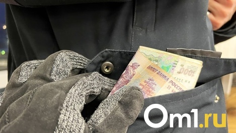 На омском предприятии грузчика подозревают в совершении сразу четырёх краж