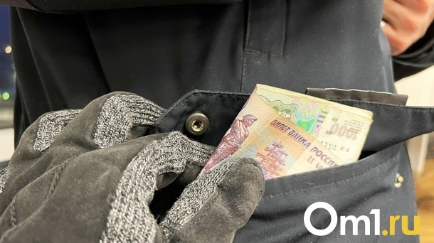 На омском предприятии грузчика подозревают в совершении сразу четырёх краж
