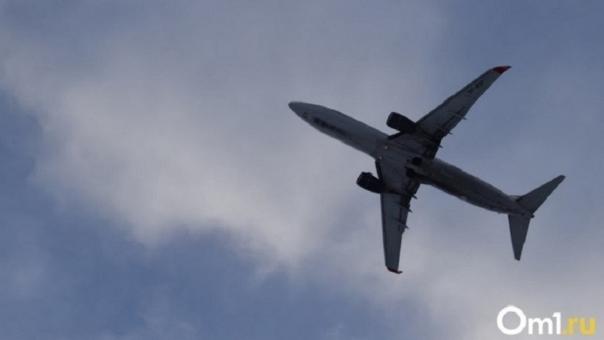 В аэропорту Толмачёво застряли 196 новосибирцев из-за переноса вылета трёх рейсов