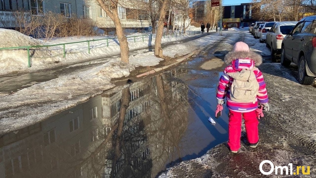 Насколько опасна дорога в школу? Новосибирские депутаты обсудили маршруты к образовательным учреждениям