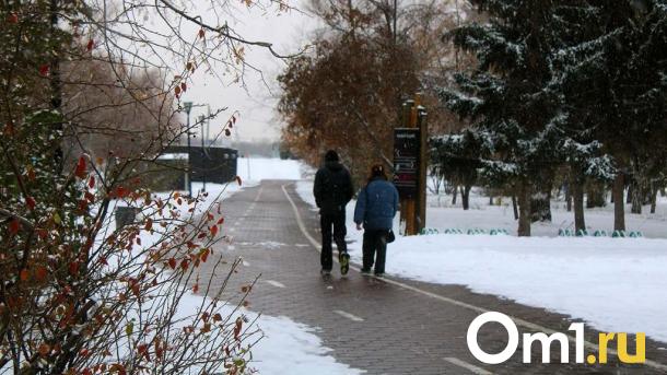 В Омской области в два раза сократилась миграционная убыль населения