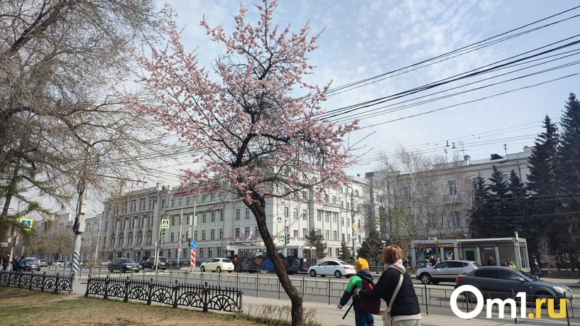 Изображение фоторепортажа
