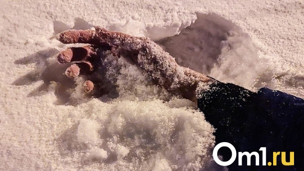 Труп убитого новосибирца обнаружили в Кольцово