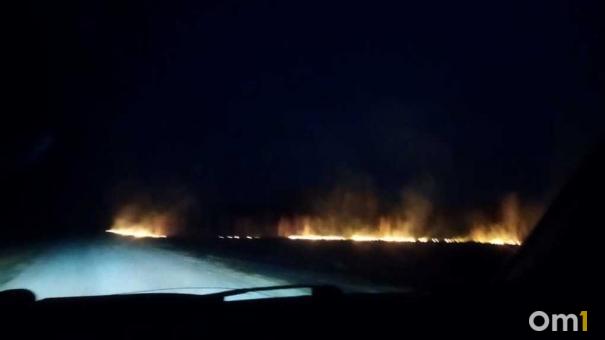 Огненное кольцо: свыше 200 термических аномалий зафиксировано в Новосибирской области
