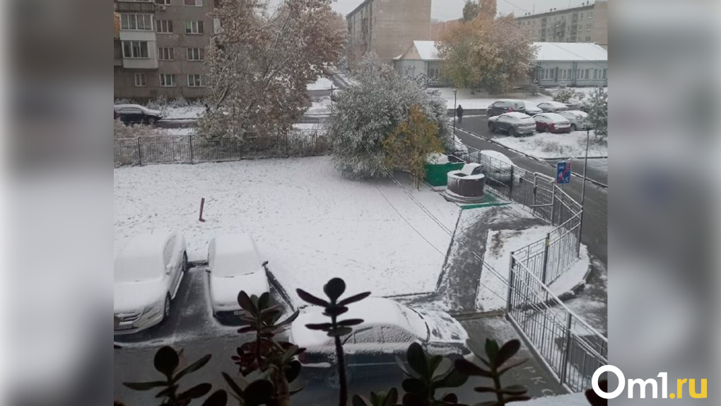 Пошла новосибирск. Первый снег в Новосибирске. Снег в Омске. Климат Новосибирска. Омск климат.