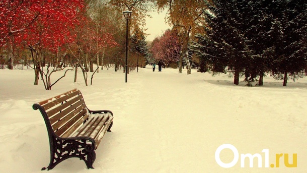 Бизнесмены и тарзанка: мэрия хочет заманивать омичей в парки, и вот как