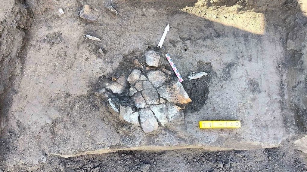Омские археологи ОмГПУ начнут раскопки нового могильника