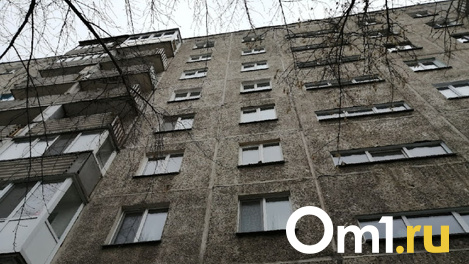 Залез на подоконник и сорвался: годовалый малыш разбился насмерть в Новосибирске