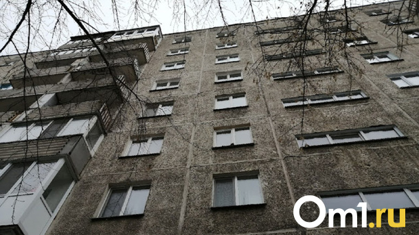 Залез на подоконник и сорвался: годовалый малыш разбился насмерть в Новосибирске