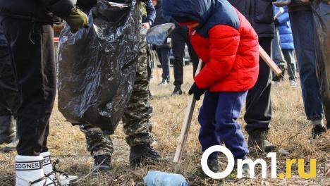 В Омске объявлены даты общегородских субботников
